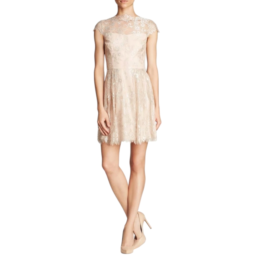Cynthia Steffe Hannah Soft Metallic Lace Cap Sleeve Dress Warm Beige Size 6